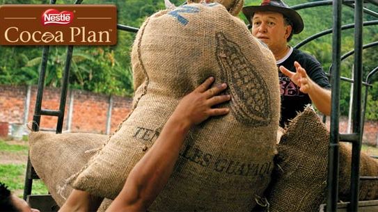 Nestlé Cocoa Plan gir mer bærekraftig kakao 