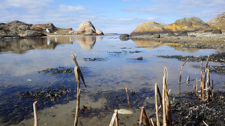 Havet utanför Lovéncentret Kristineberg i Fiskebäckskil