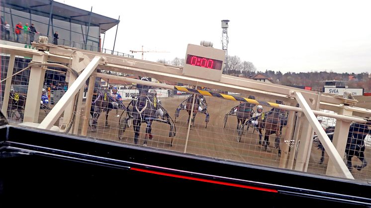 Elitloppsauktion med finalplatser i startbilen