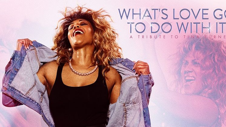 Tina Turner Tributeshow