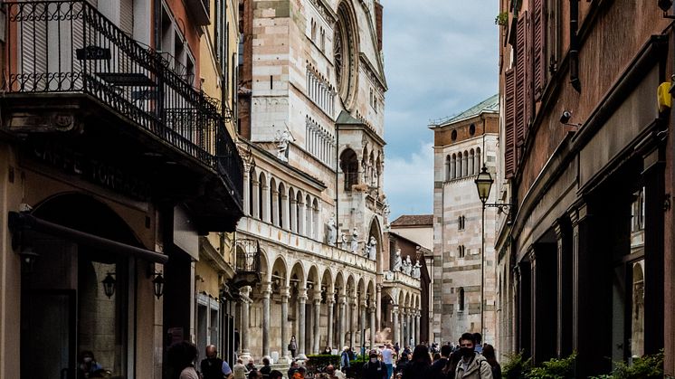 pexels-alessandro-bajo-8006447