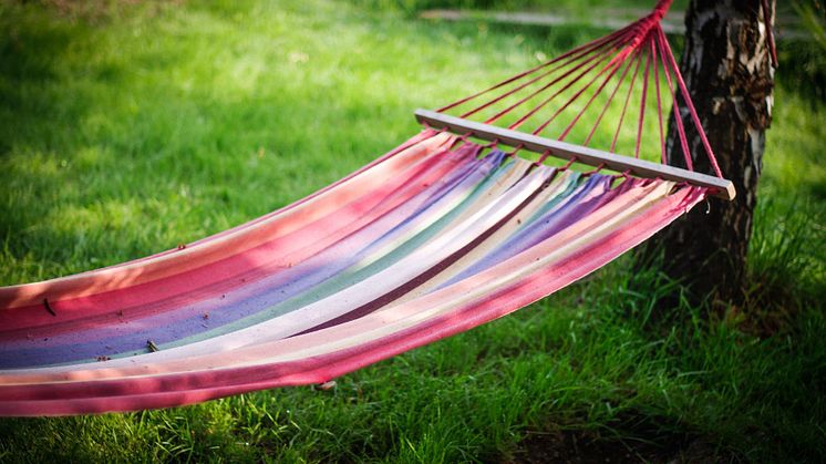 Foto: Petr Přeučil/Pixabay