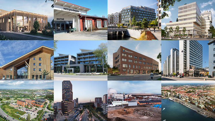 collage finalister sgb awards 2024.png