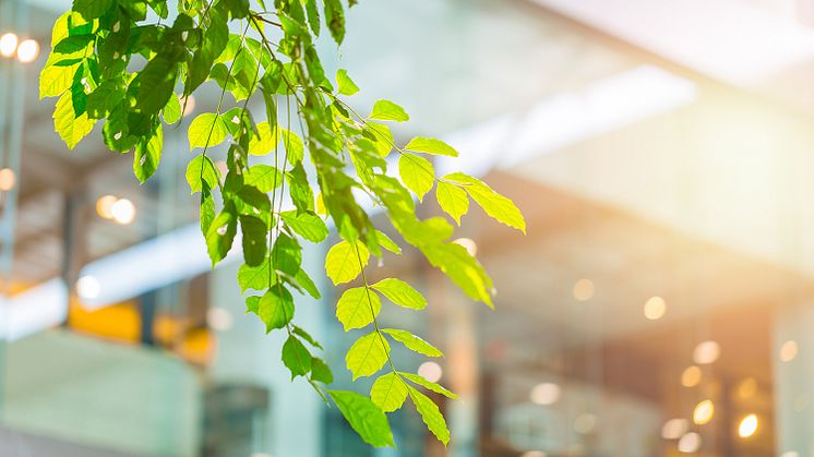 Krav på klimatdeklaration för nya byggnader fick grönt ljus