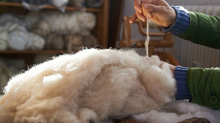 Ny studie visar hållbarhetsvinster med svensk ullproduktion