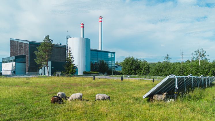 Norges første storskala solvarmeanlegg finnes i Akershus EnergiPark ved Lillestrøm. Nærmere 13000 kvm solfangere er utplassert