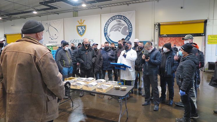 Förra årets tångpremiär på Göteborgs Fiskauktion