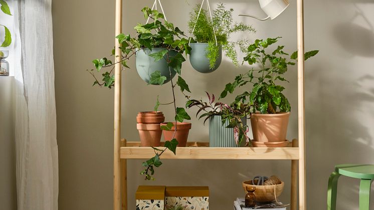  DAKSJUS plantestander 539 DKK
