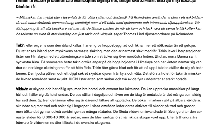 Takin och vildsvin - nytillskott på Kolmården i år
