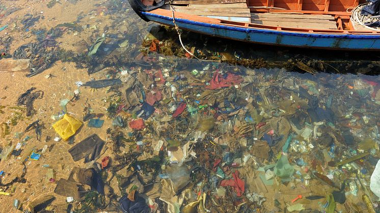 The unhealthy image relecting the reality of how plastic is polluting and disrupting life in our oceans around the planet.