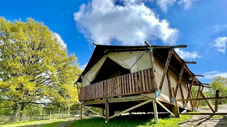 Nya glampingsatsningen ”Wild Lodge” på Skånes Djurpark går mot slutsålt innan första gästen checkat in