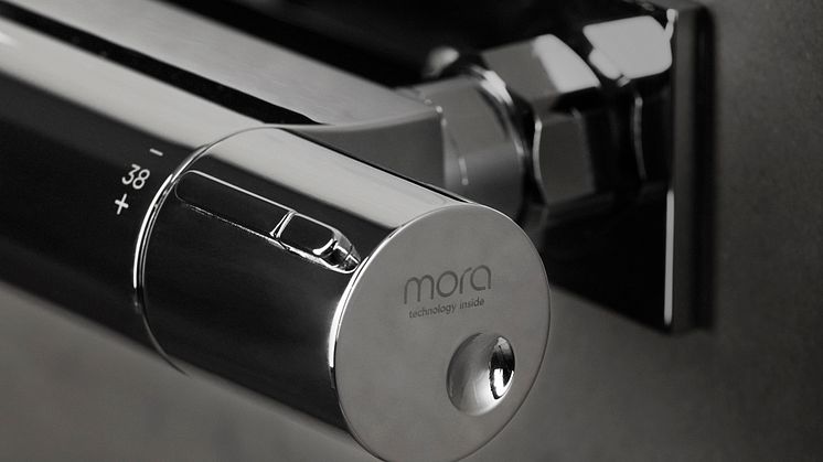 INR MIST detalj bilde mora logotyp