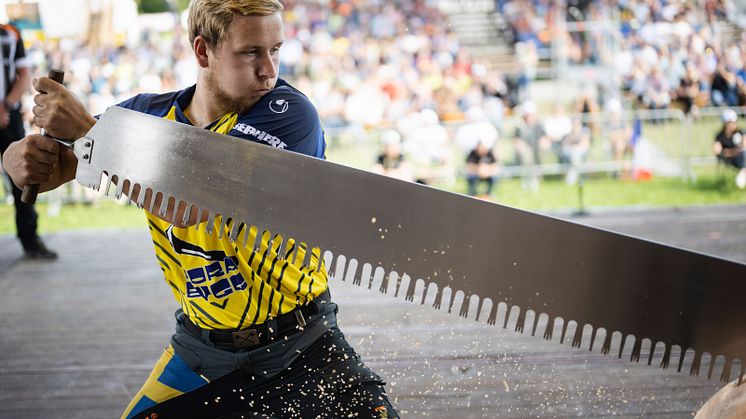 Timbersports_ENC2022_Hansson_AA_5661