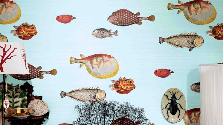 Cole & Son, Fornasetti 2, 97 10030