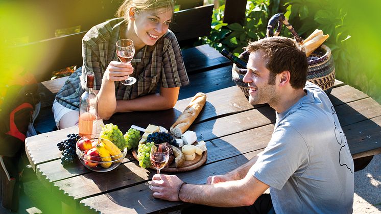 Saale-Weinmeile – Pinsens vinvandring i Tysklands nordligste vinområde