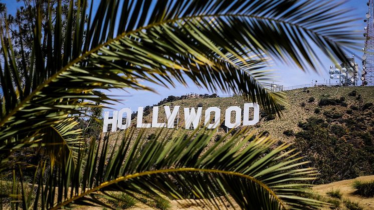 Hollywood Glusea.com