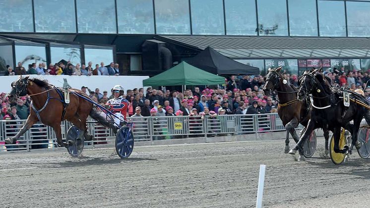 Queer Fish spurtar hem Sweden Cup 2019. Foto: Lars Jakobsson/TR Bild