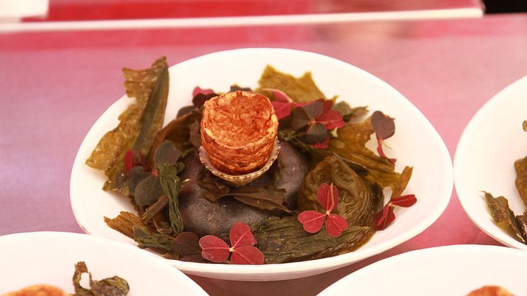 Seafood Valladolid 8 nov