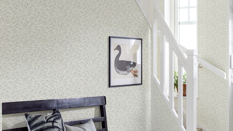 Borosan Papper17, 3501 garden
