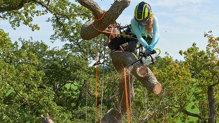 Top_Handle_Chainsaw_Model_Action_A 84_small.jpg