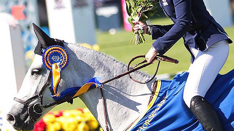 Nytt system för unghästkval till Falsterbo Horse Show