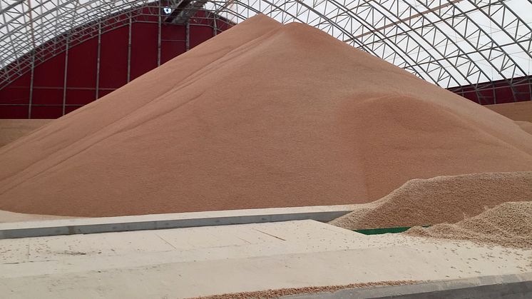 Tillförseln av pellets till den svenska marknaden ökade med ungefär 150 000 ton pellets under 2022 jämfört med 2021. Foto: Sofie Samuelsson