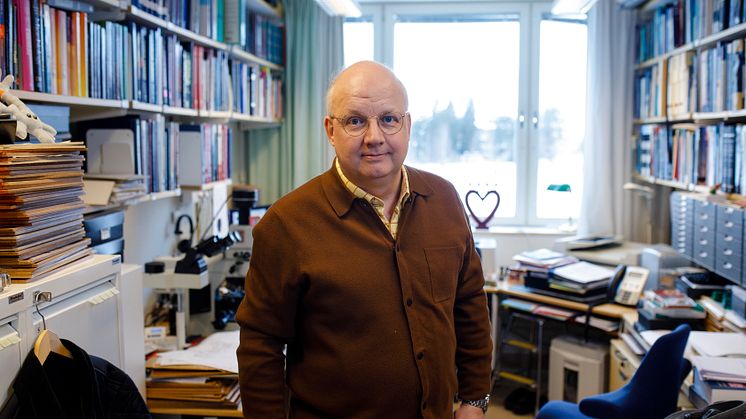 Thomas Brännström