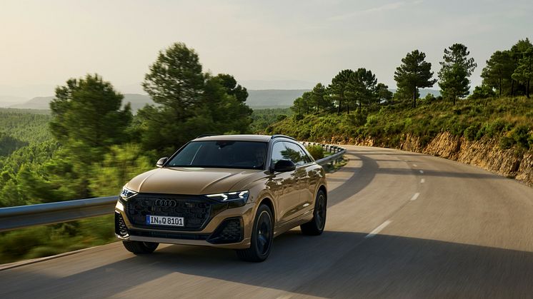 Audi Q8 (Sakhirguld)