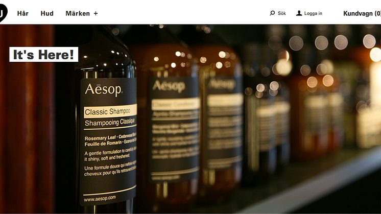theYOUway - Aesop