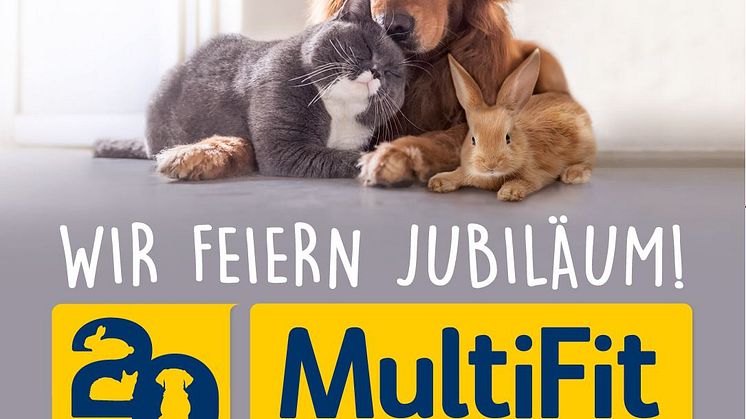 Jubiläums-Visual und Logo