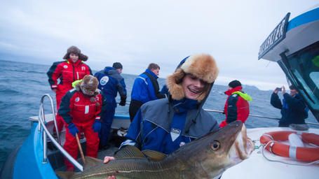  Norsk Skrei – huvudråvara i Årets Kock 2014