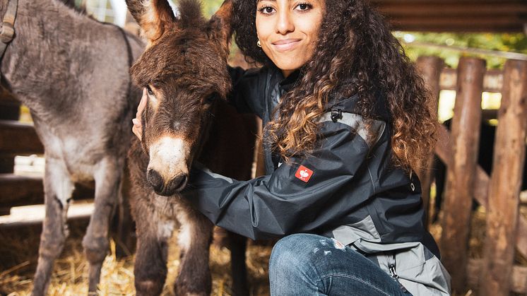 21 beendet das Markenjahr im Tierreich