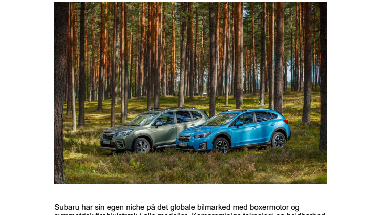 Prisfald: Subaru satser stort på Danmark