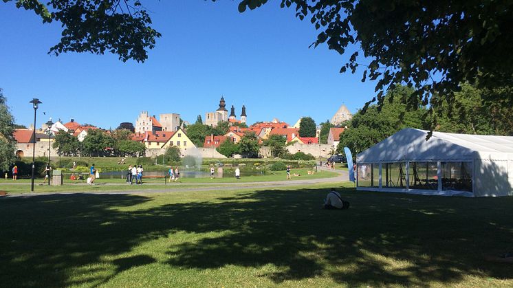 Boehringer Ingelheims aktiviteter i Almedalen 2018
