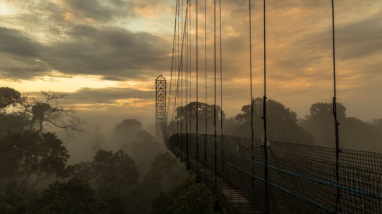Sacha_Lodge_Mashpi_Reserve_Ecuador_FOTO EM
