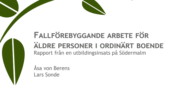 Fallforebyggande_arbete_rapport_screen_slutversion_201002.pdf