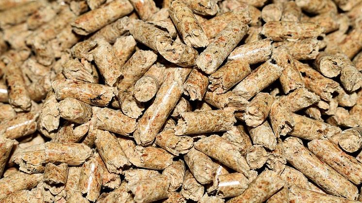 pellets-g0af162bad_1280.jpg