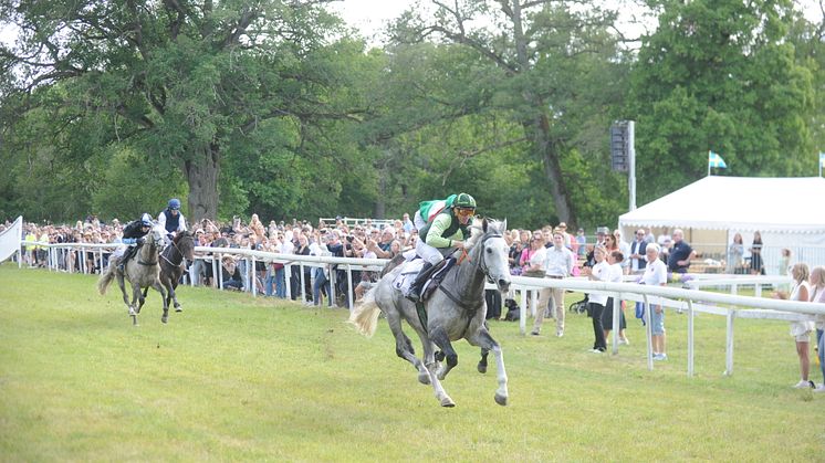 Monsieur Vic Svenskt Champion Hurdle.jpeg