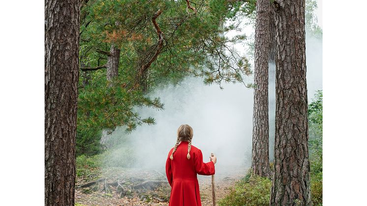 Vägvisaren