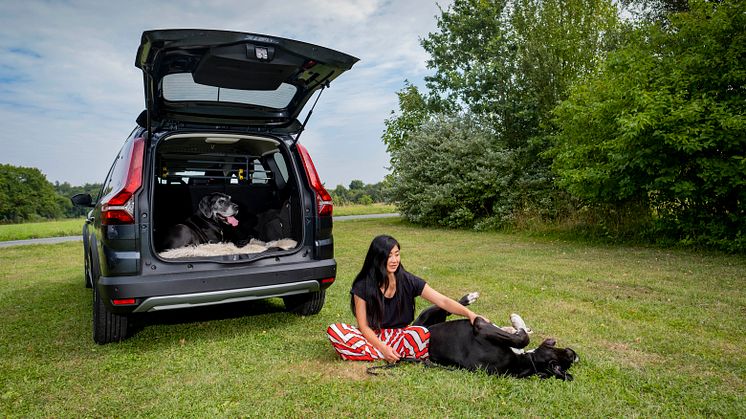 003 220815 Dacia Jogger og hunde