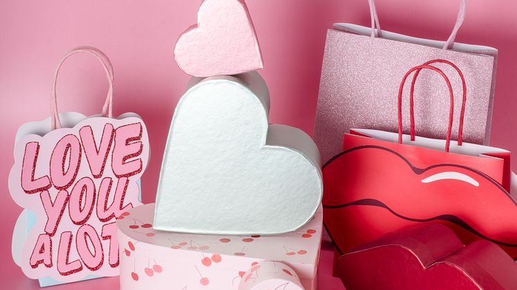 valentinestbags