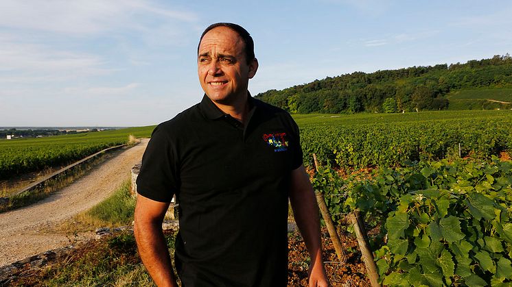 Tillfällig Lansering: Guy & Yvan Dufouleur Fixin 1er Cru Clos du Chapitre Monopole 2019