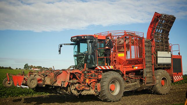 Sockerbetsskörd i Skåne
