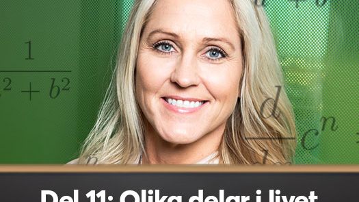 Compricers ekonomiskola del 11: Olika delar i livet