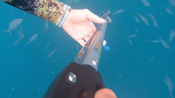 Hi-res image - ACR Electronics - GoPro footage of the fishermen spearfishing on the day of the rescue