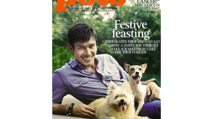 Evorich Flooring Featured on PETS Magazine