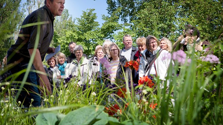 Slottsträdgårdsmästare John Taylor