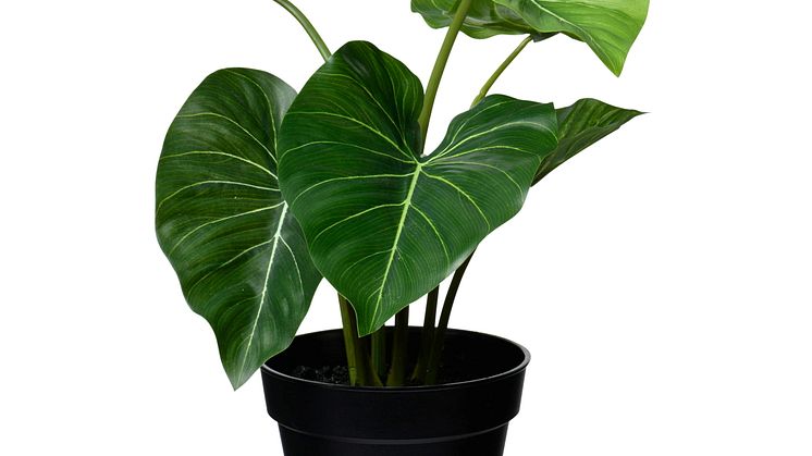 NYHET! Pot plant Philodendron 33 cm Artificial material 9,99 EUR.jpg