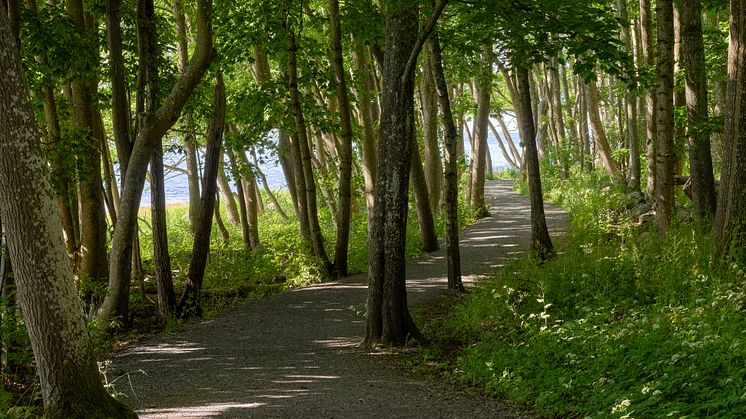 Utstikt fra Jeløya