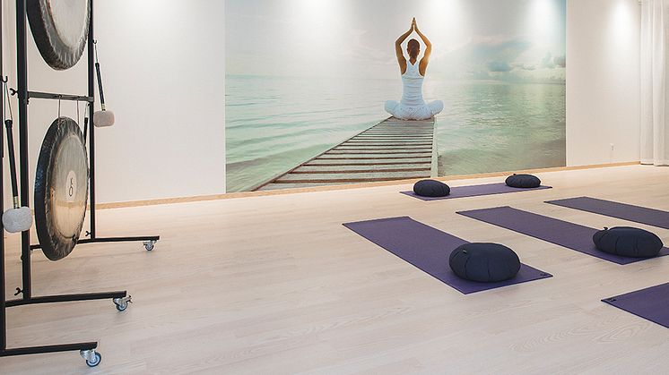 Holistic Yogasal
